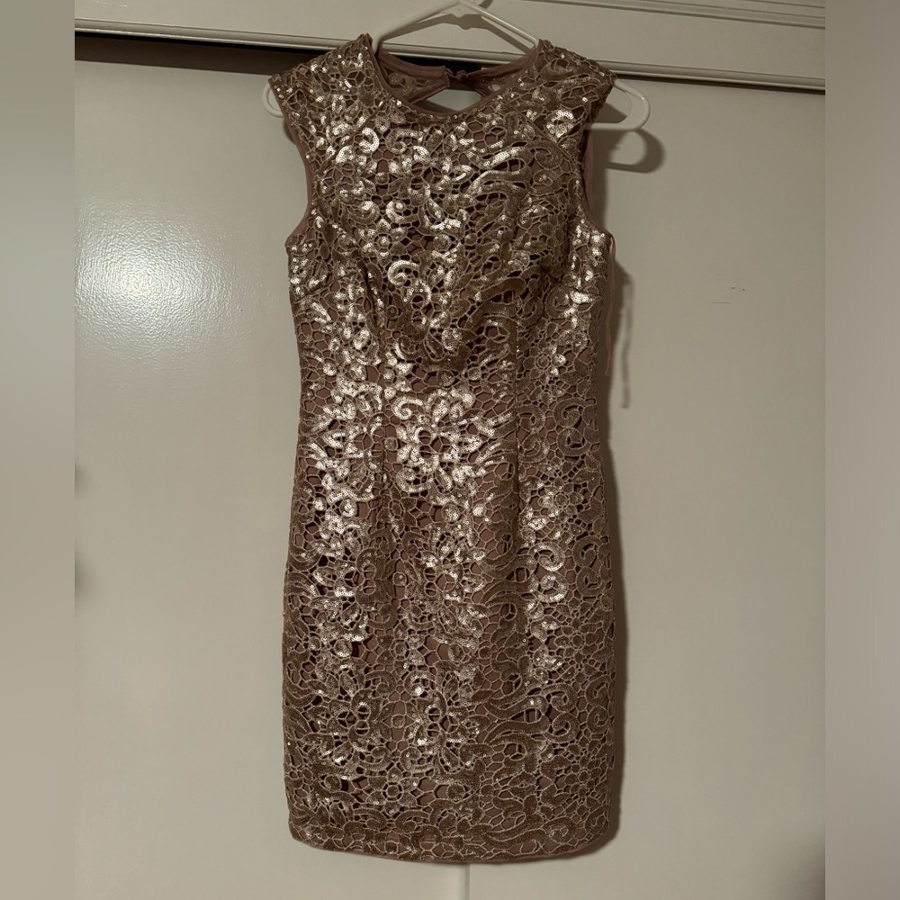 Anthropologie Aidan sequin dress in blush